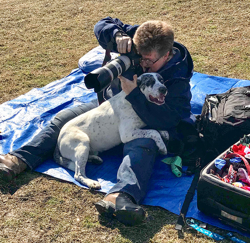 Sherry Stinson comforts a shy dog while taking photographs of another shelter dog looking for a home.