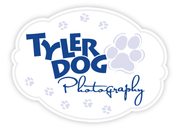 TylerDog ~ Pet Photography & Greeting Cards logo